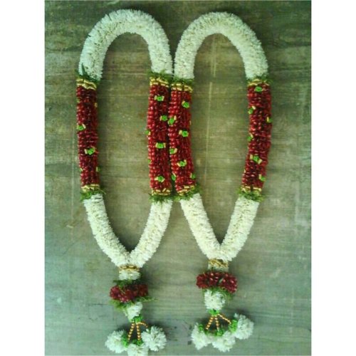 2601435981699561051 7618902818