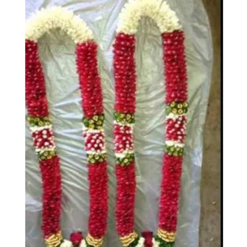 2601435981800051189 7618902818