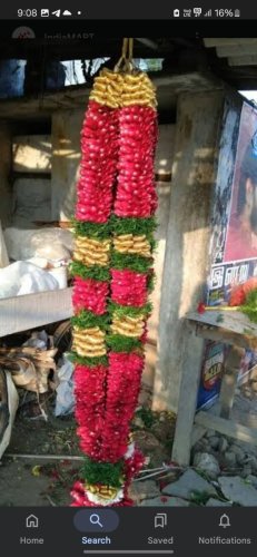 Screenshot 20250220 210838 Google