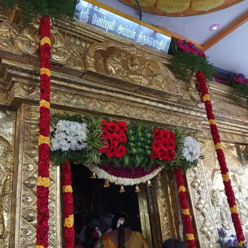 3422829715244339214 7618902818