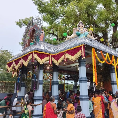 3422829715453924006 7618902818